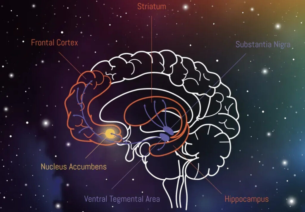 Forgetting Mechanism